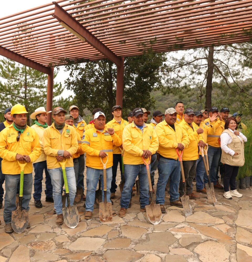 71 273 52001 1259851526 Reforestacion La Beata 15 de julio 2026