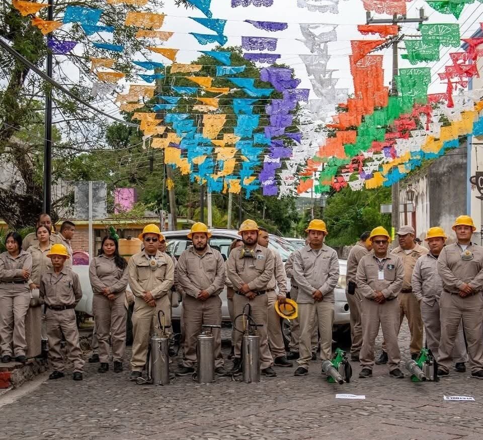 71 273 52406 407882762 1 2508 SESA JORNADA