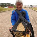71 273 52471 792338223 SEDEA Amealco semilla forrajera 02 09 2026