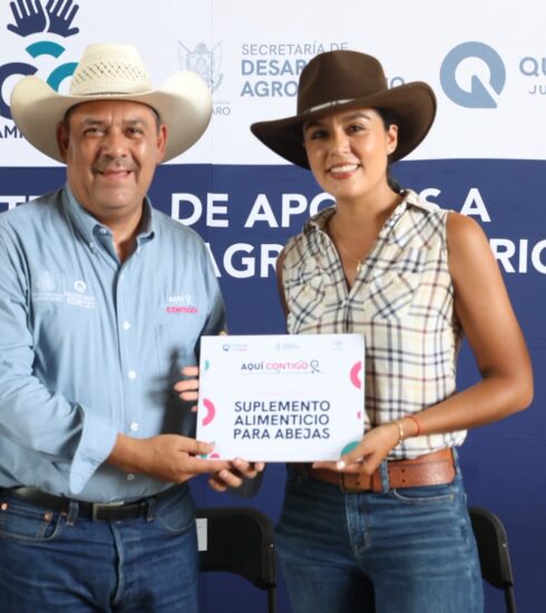 71 273 52769 312867882 SEDEA apoyo apicola sierra 02 10 2026