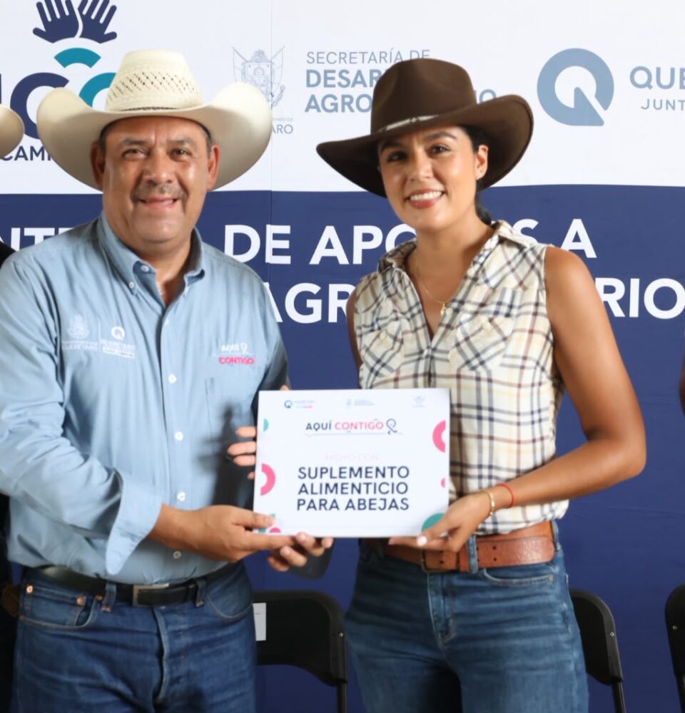 71 273 52769 312867882 SEDEA apoyo apicola sierra 02 10 2026