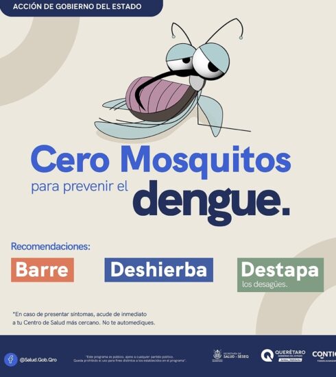 MASTER DENGUE 2025 MOSQUITO