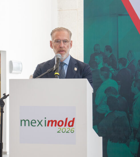 71 273 52895 853636417 10 14 MEXIMOLD (1)